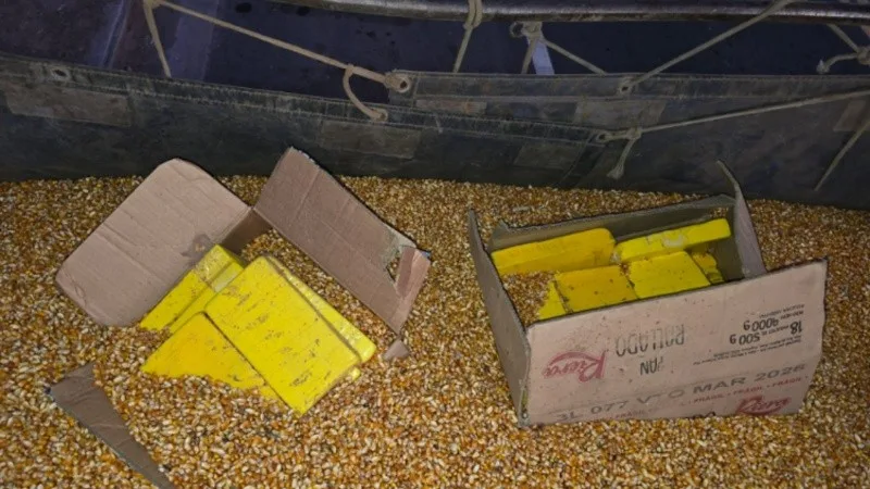 Incautan más de 44 kilos de cocaína ocultos en una carga de maíz que iba rumbo a Rosario