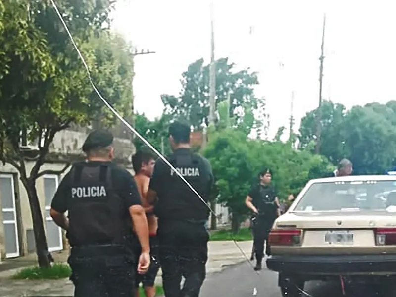 Mató a fierrazos a un perro: antes había destrozado un auto