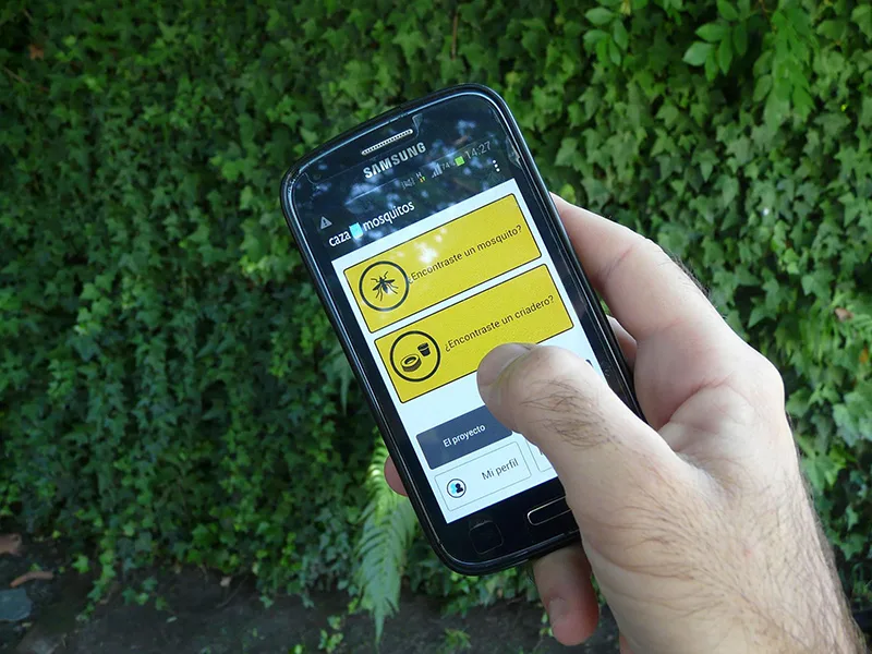 Caza mosquitos: una aplicación para celulares científica y "colaborativa"