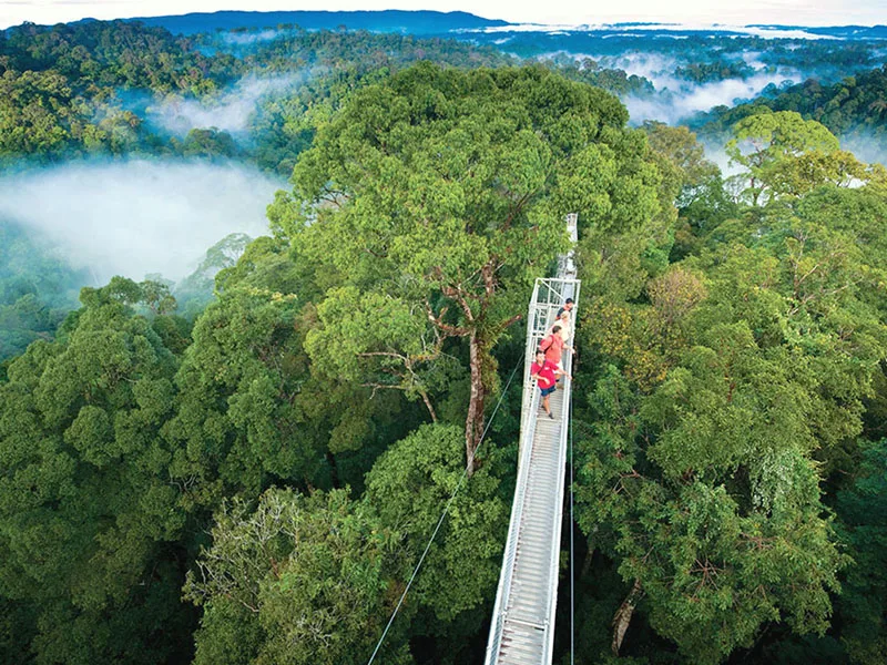 Costa Rica entró en 2019 ratificando la eliminación de combustibles fósiles