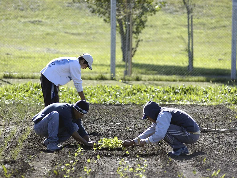 Pequeños productores piden ayuda al Estado para subsistir