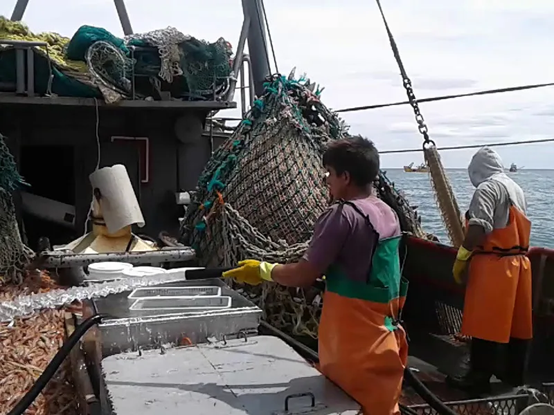 Qué tienen que ver el Estado y el langostino