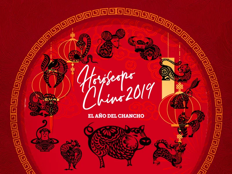 Como el Chancho: qué dice el Horóscopo Chino para 2019