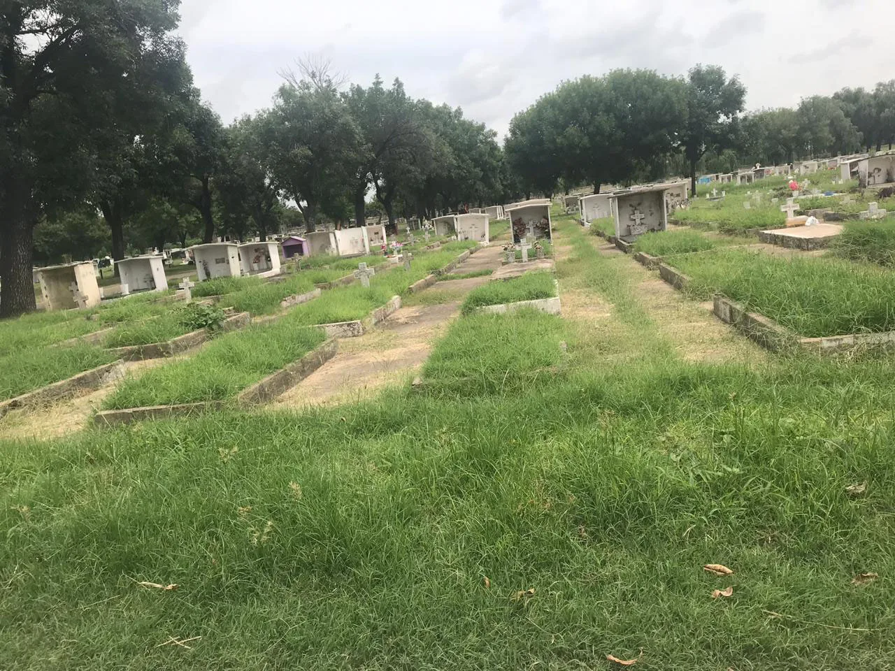 Piden al municipio mejoras en el cementerio La Piedad