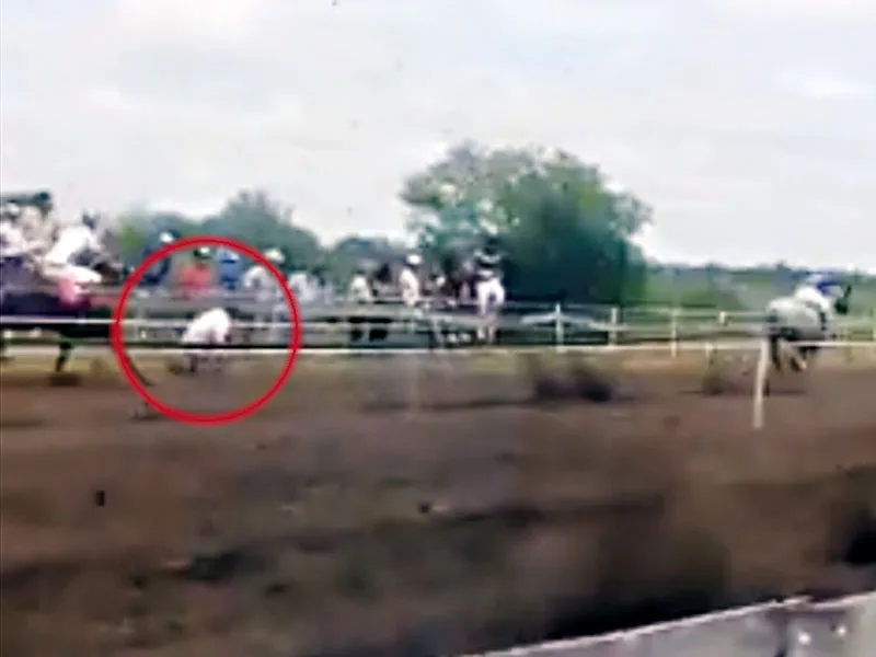 Murió arrollado por un caballo en una carrera cuadrera en el norte santafesino