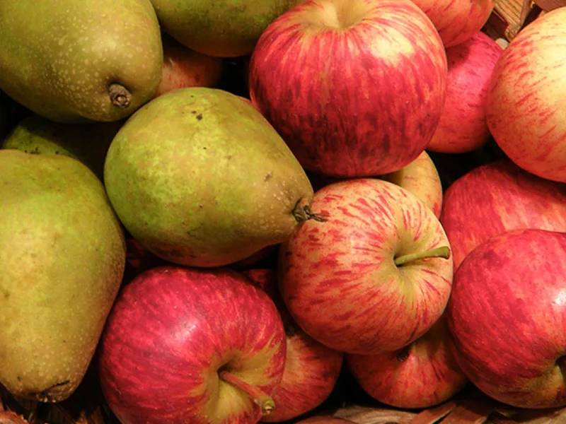 Brasil cerró por completo ingreso de peras y manzanas provenientes de Argentina