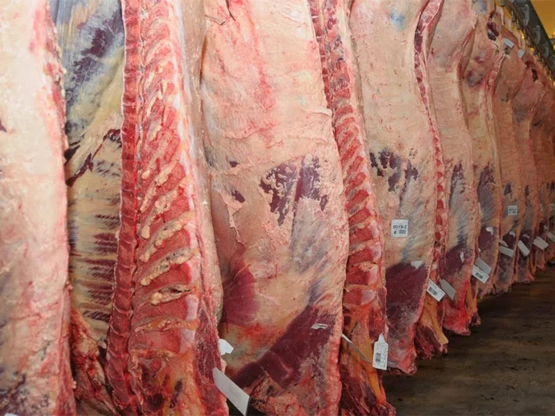 Se dispararon las exportaciones vacunas pero cayó el consumo interno