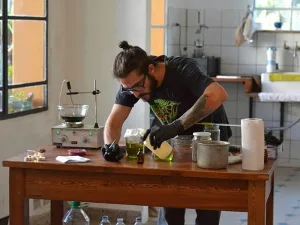 Entre Ríos: lo procesaron por enseñar a hacer aceite de cannabis