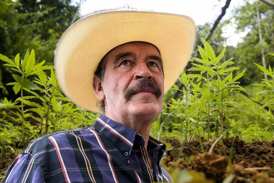 Ex presidente mexicano Vicente Fox cultivará marihuana para uso medicinal