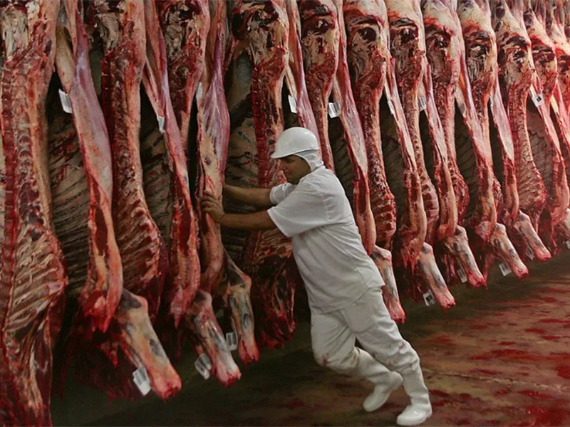 Macri lo hizo: la vaca vuela y los argentinos se despiden del asado
