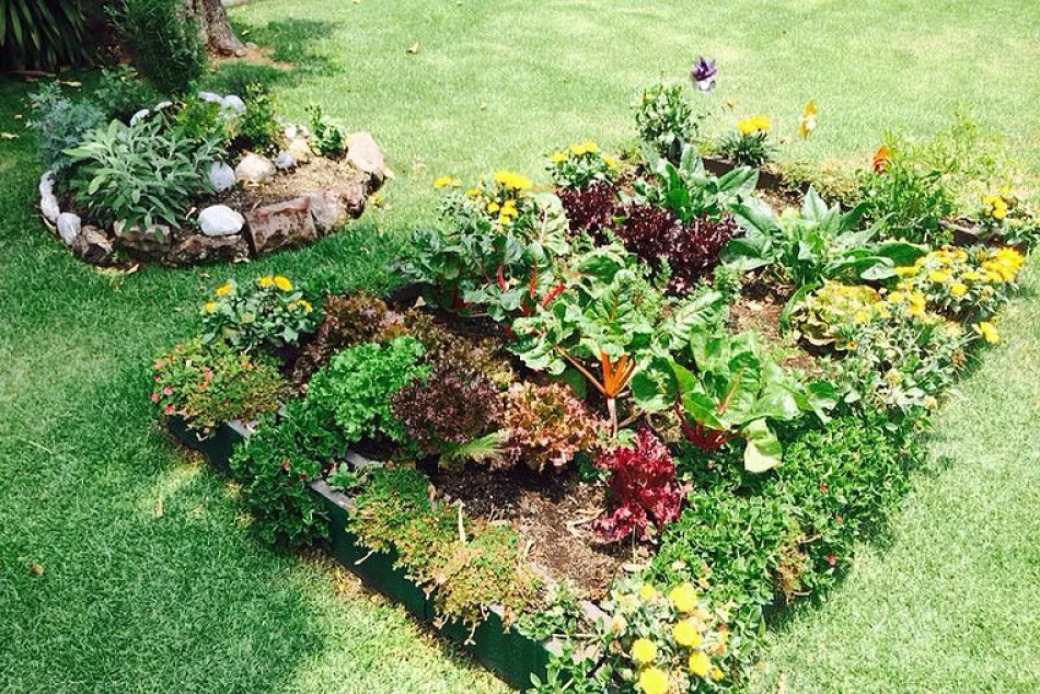 Se viene un especial taller de Huerta en Casa en el centro: ¿dónde se hace?