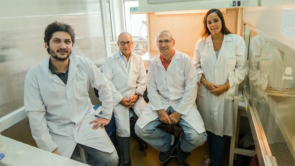 El efecto preventivo del mate sobre el desarrollo del Parkinson