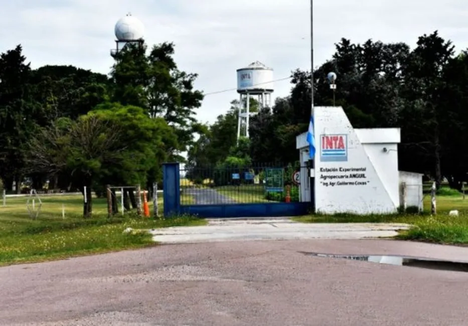Vaciamiento en el Inta: ¿investigación para quién?