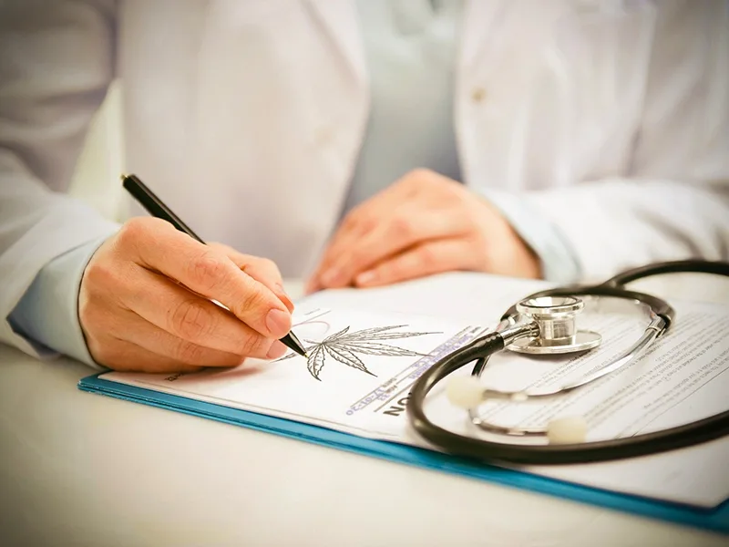 El desafío de ser médico y prescribir cannabis en Santa Fe