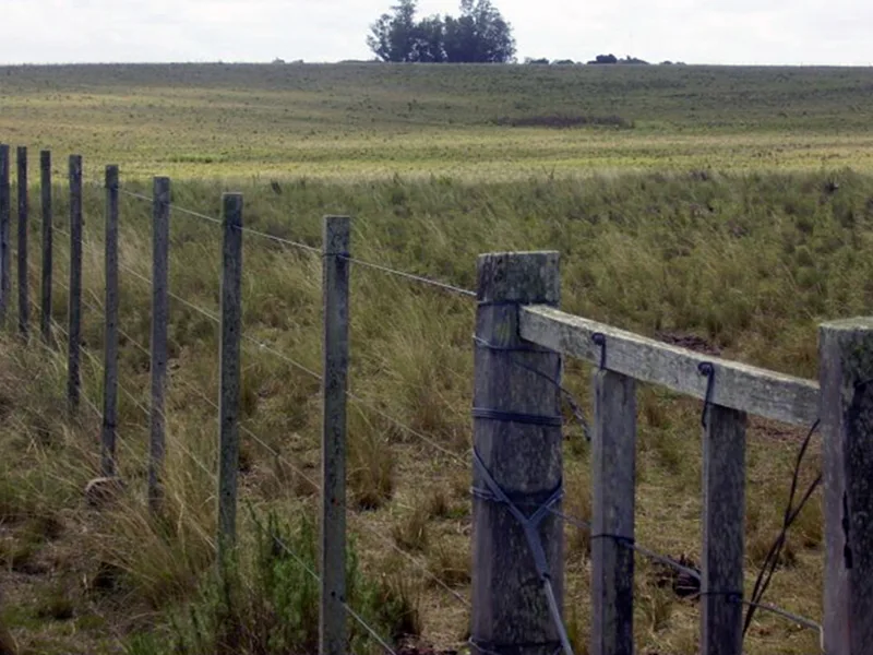 La actividad del mercado inmobiliario rural cayó 21% en un año