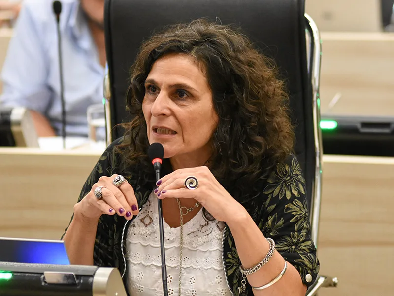 Critican el fallo del Tribunal Electoral que rechazó la paridad de género