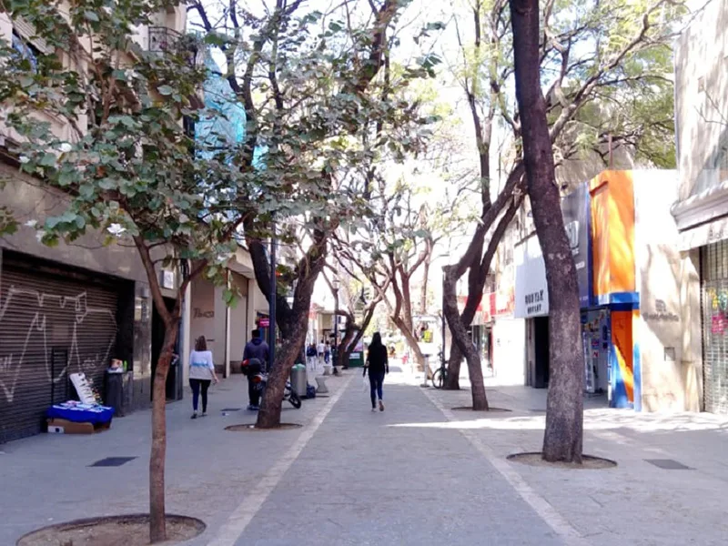 La huelga se reflejó con fuerza en todo el interior del país