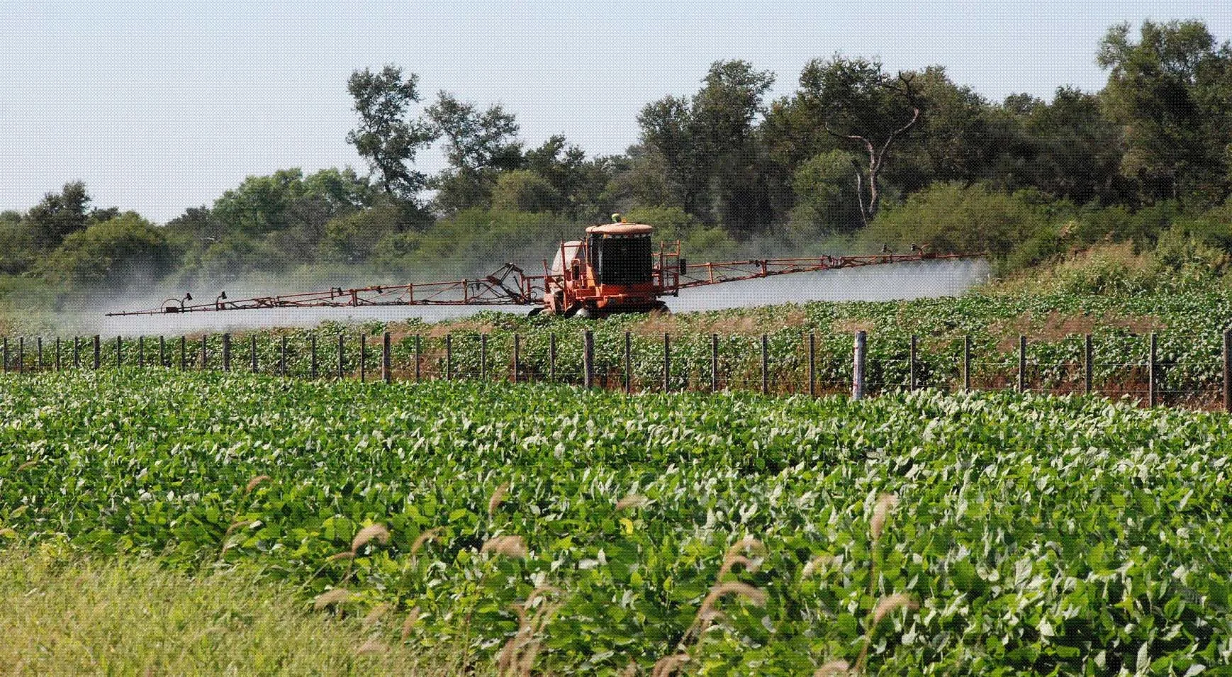 Aseguran que el glifosato aumenta su toxicidad al combinarse con el arsénico