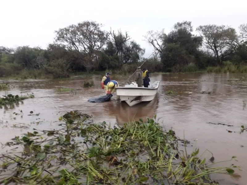 Macabro: pescadores hallan a una mujer descuartizada en el río Paraná
