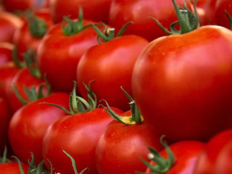 El país no cubre la demanda de tomates e importa latas desde China