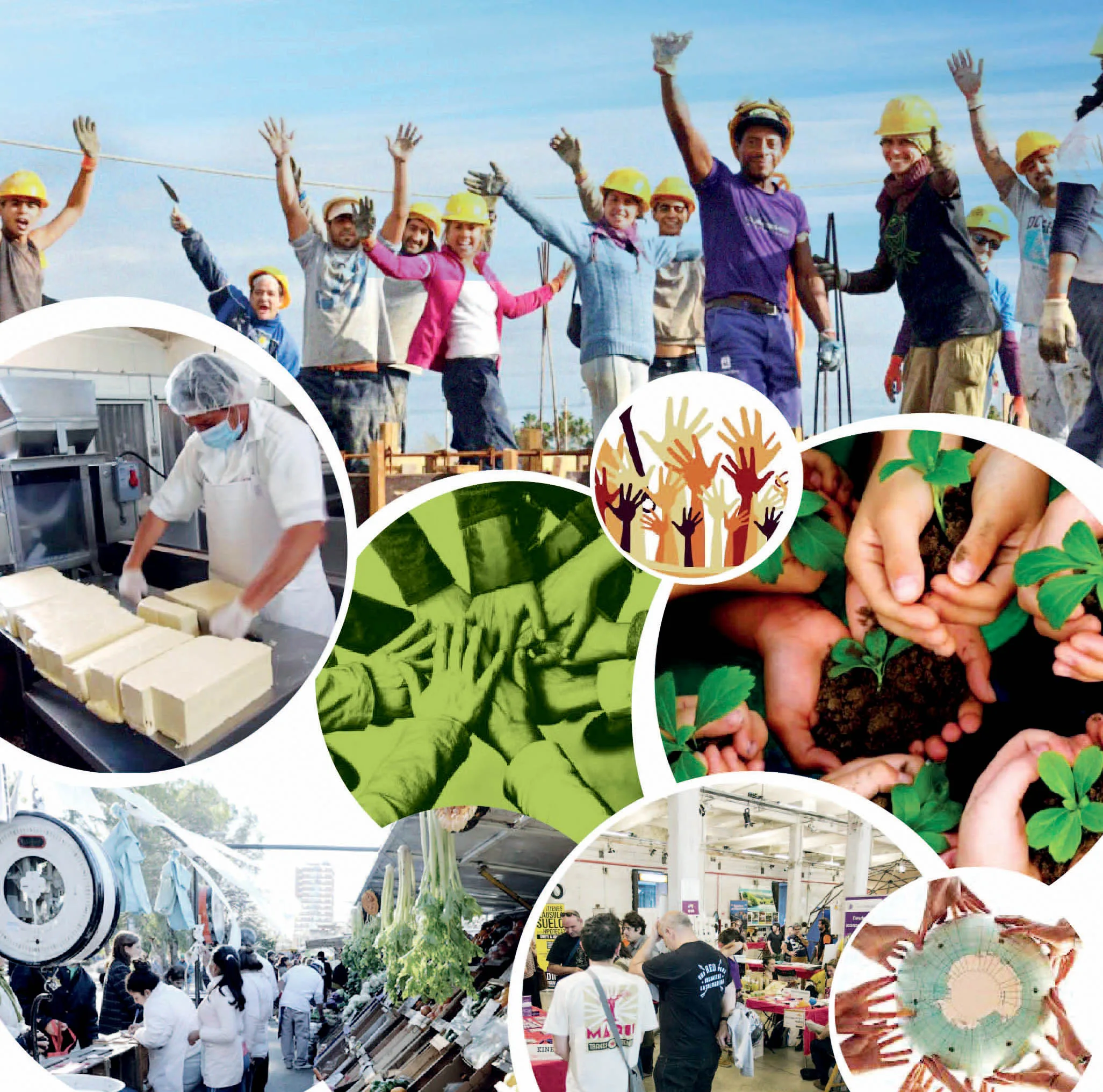 Conocimiento y  organización para fortalecer el Movimiento Cooperativo