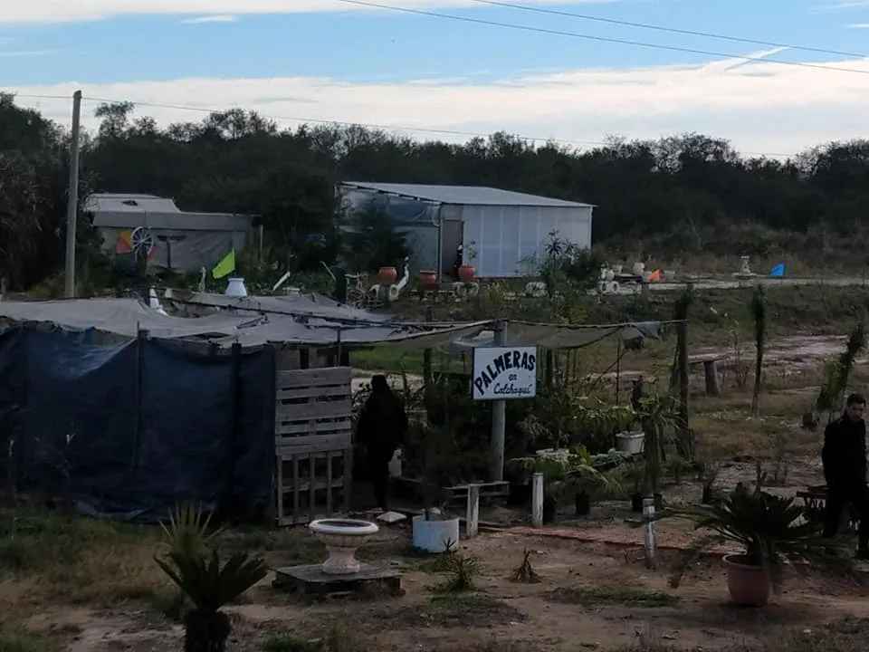 Matan de al menos 30 puñaladas a un comerciante y detienen al hijo de su pareja