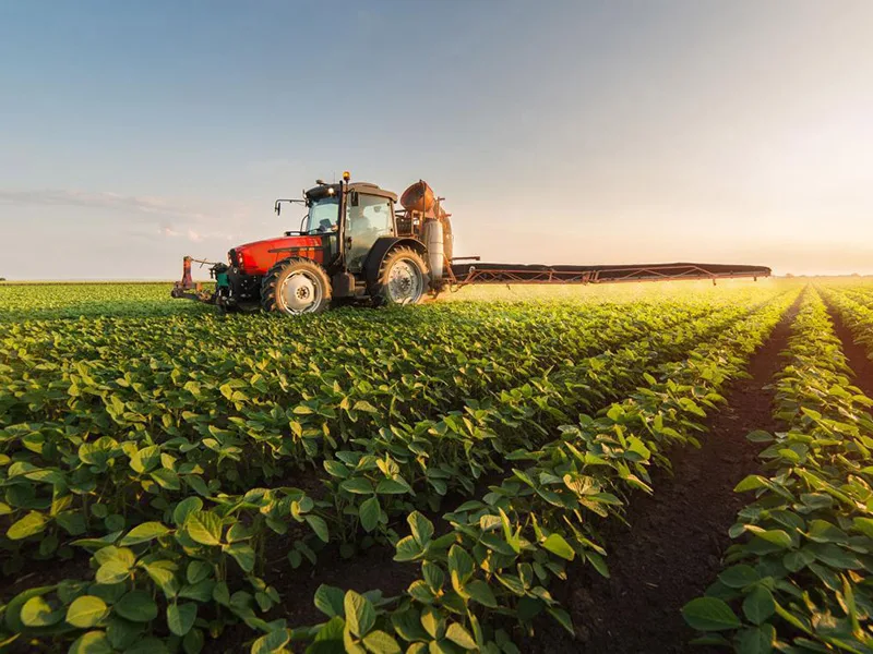 Argentina, el país con políticas agropecuarias más "extractivas y distorsivas"