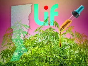 Santa Fe y el Inta ya definieron un predio para poder cultivar cannabis medicinal