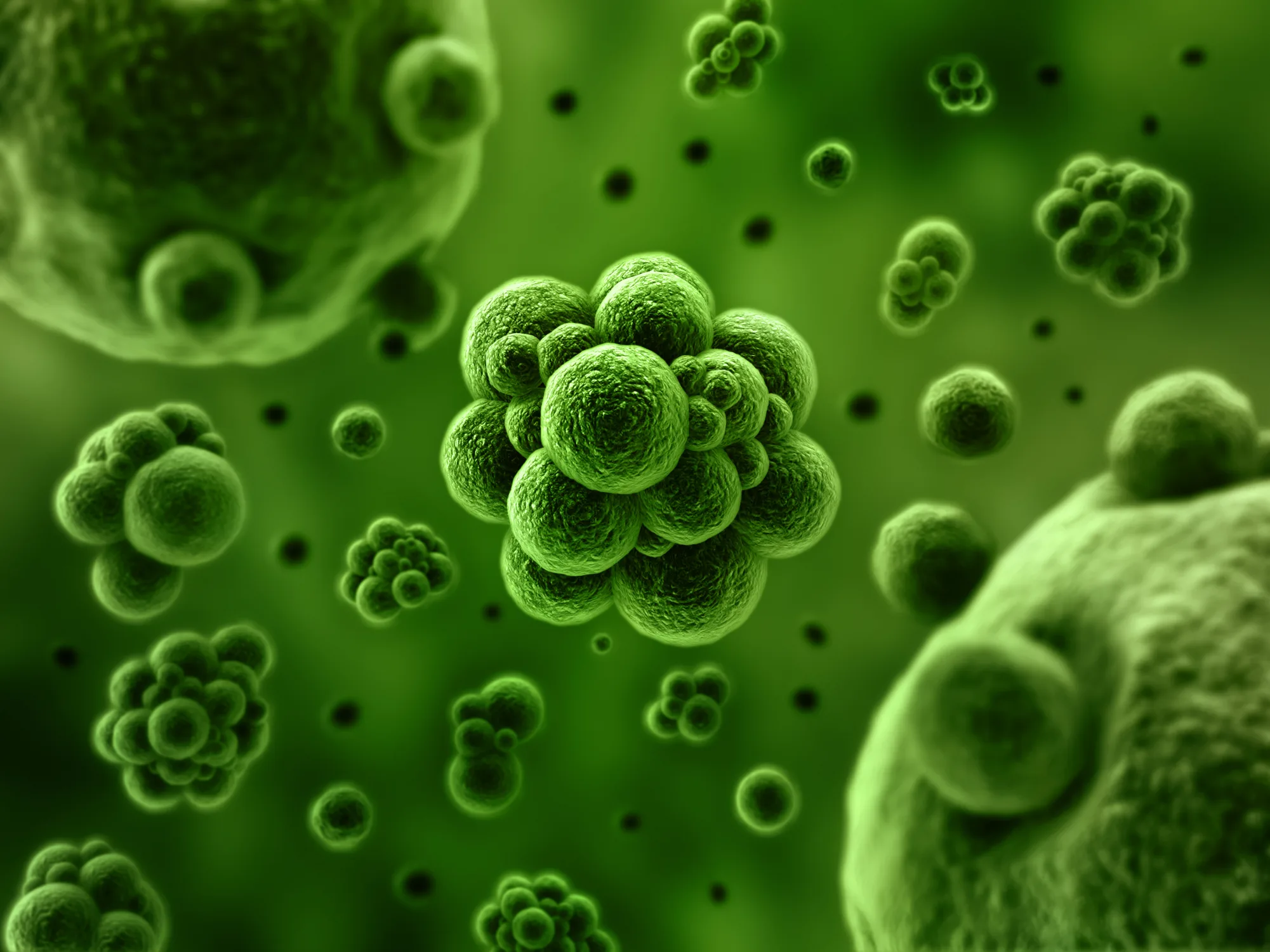 Unas 700 mil personas mueren por año por la resistencia antimicrobiana