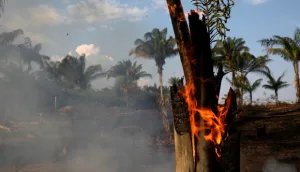Registro récord de incendios en la región de la Amazonia