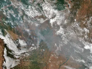 El incendio del Amazonas, "una catástrofe que tendrá impacto mundial"