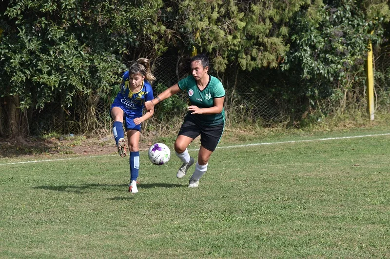 Continúa la acción en la Rosarina: rueda la pelota en la Primera y el Ascenso