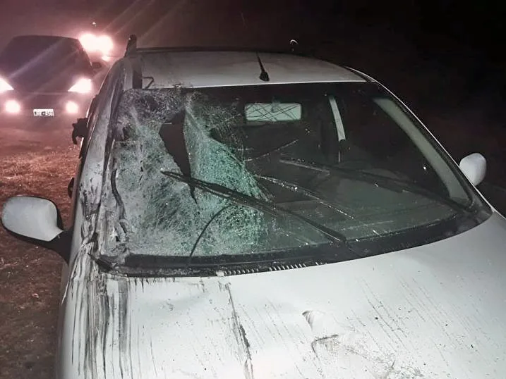 Se sucedieron dos choques en cadena con pocas horas de diferencia sobre ruta 9