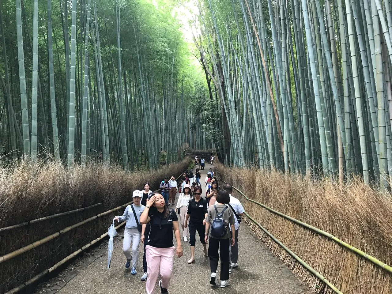 Diario de viaje: Kioto, la deslumbrante capital cultural