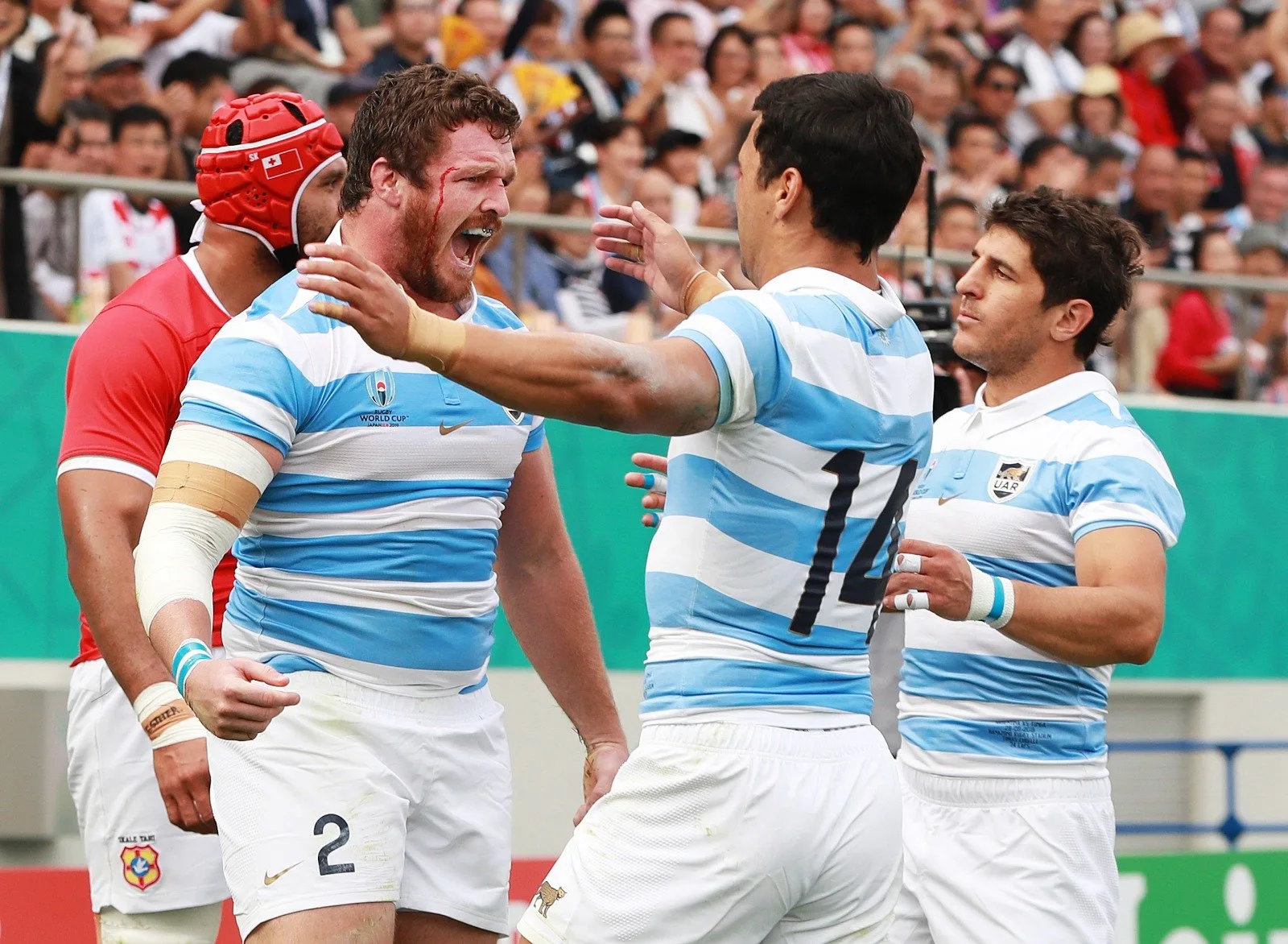 Los Pumas ganaron pero no les sobró nada ante Tonga