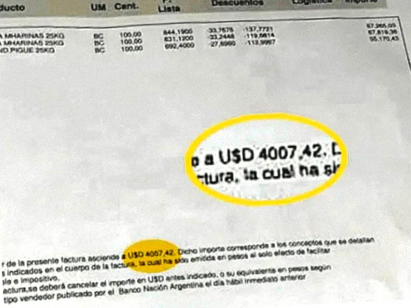 El colmo: panaderos denuncian que los molinos dolarizaron el precio de la harina
