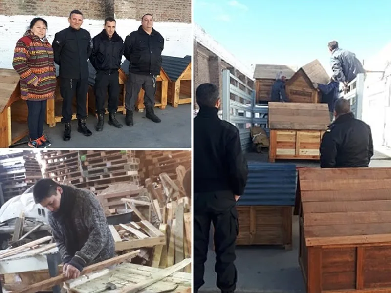 Presos confeccionaron cuchas para un refugio con más de 60 perros de la calle