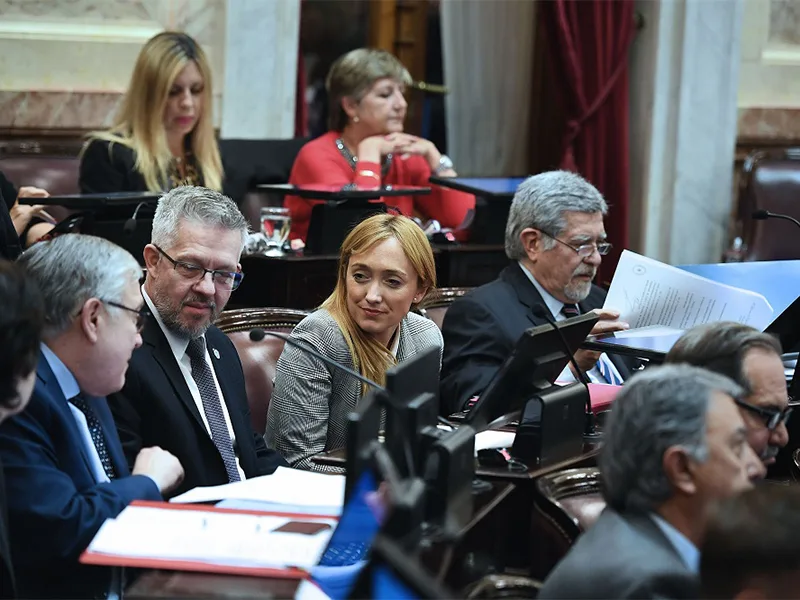 El Senado convirtió en ley la prórroga y ampliación de la Emergencia Alimentaria