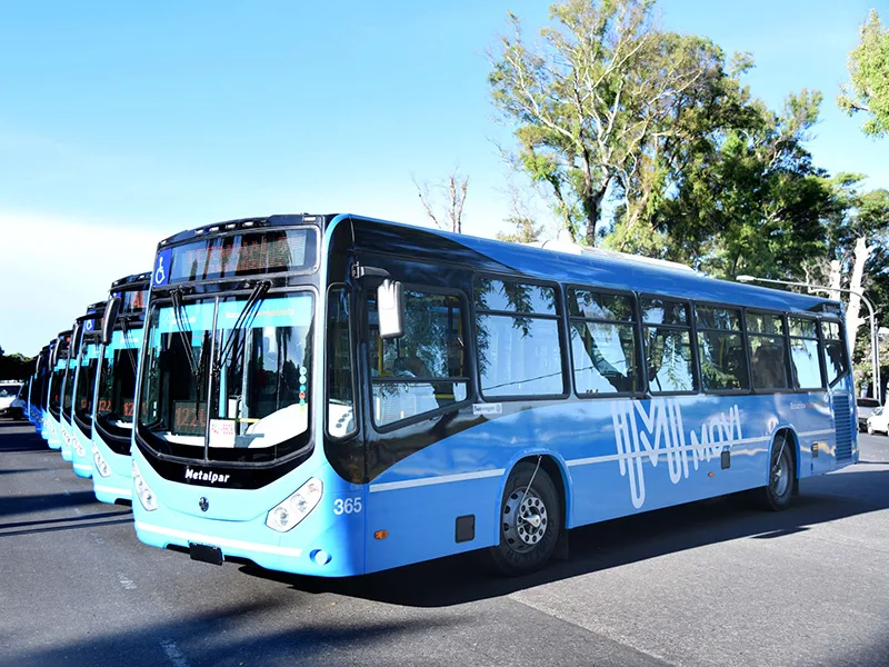 Fallo judicial ordenó reincorporar a cuatro mujeres conductoras de colectivos