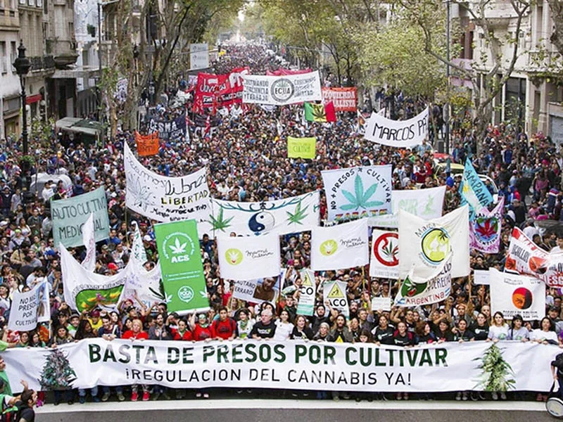 Otro camino: despenalizar el consumo de todo tipo de sustancias