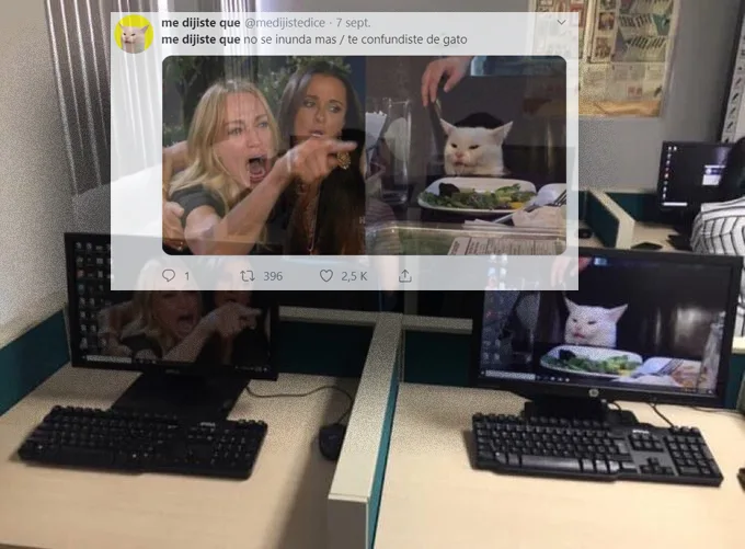 Cómo se compuso el meme de la mujer que llora y el gato sentado en la mesa