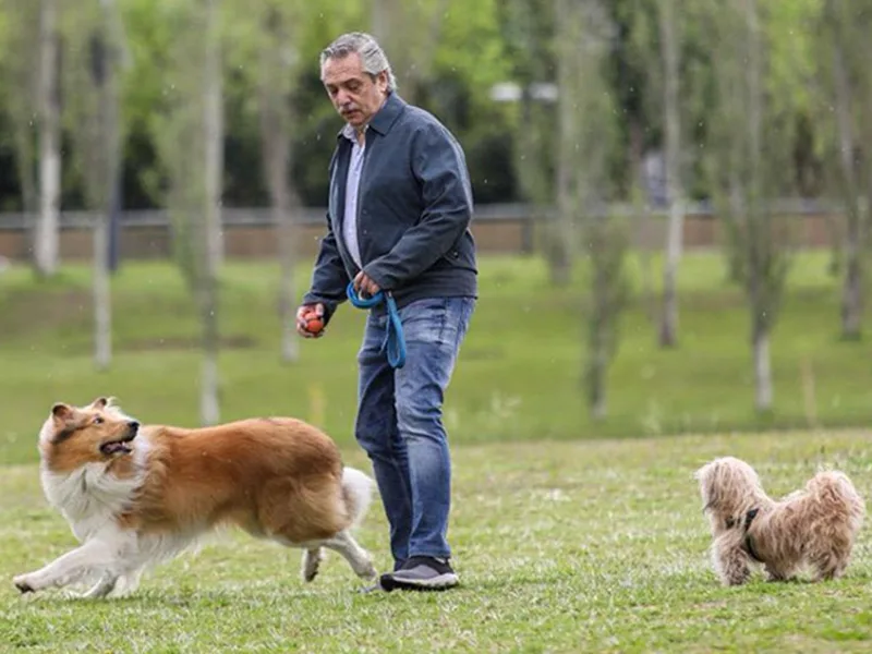 Alberto Fernández, el "tipo común" que frustró el sueño de reelección de Macri