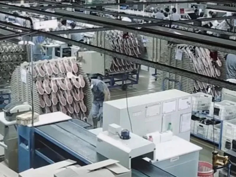 Misiones: la fábrica de zapatillas Dass deja descalzos a 300 trabajadores