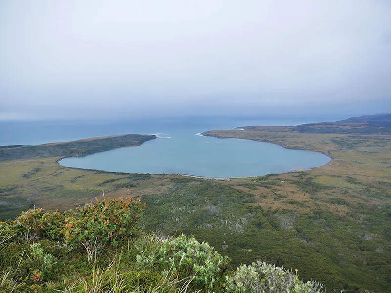 Un tesoro ecológico único está en peligro en Tierra del Fuego