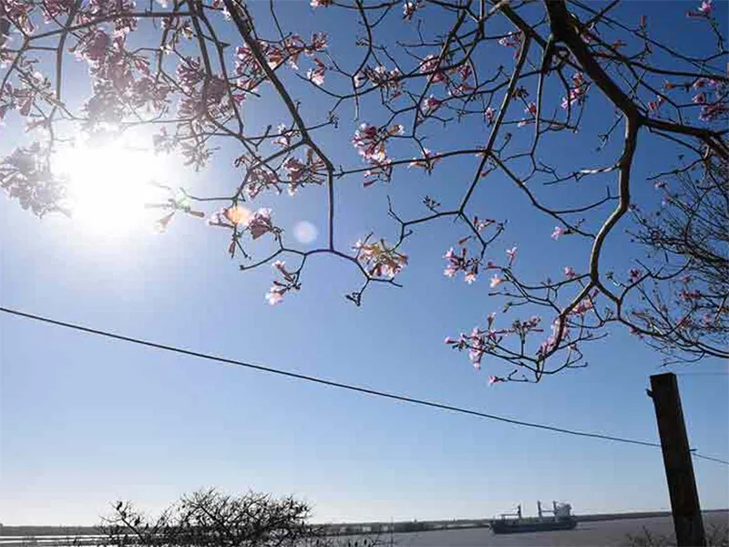 Después de un martes húmedo, lluvioso y algo frío, este miércoles salió el sol