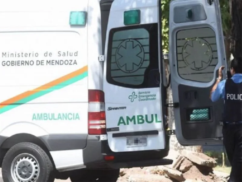 Apuñaló a la ex pareja, se fugó y cayó tras chocar contra la casa de sus padres