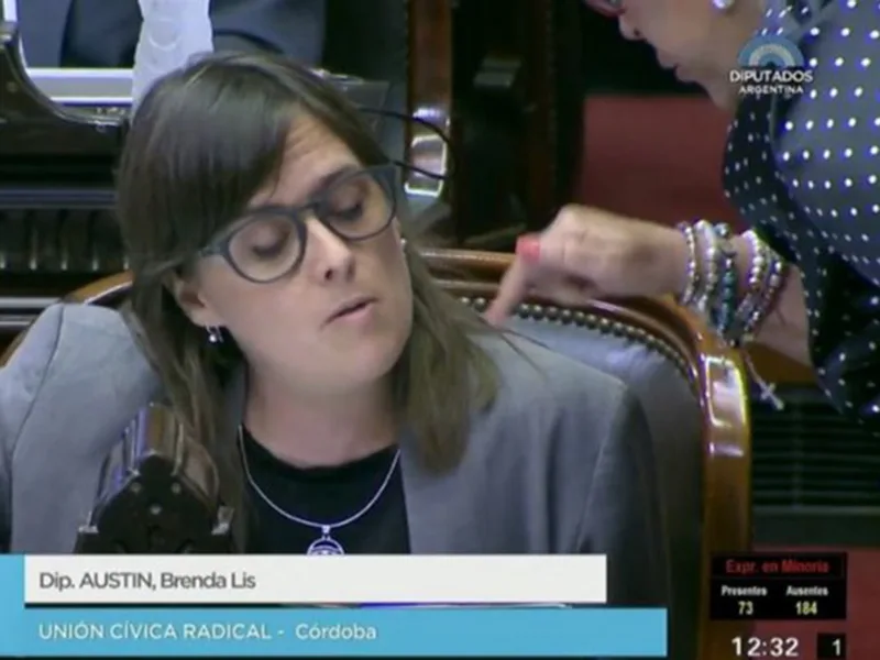 Elisa Carrió amenazó a una diputada radical en plena sesión de la Cámara baja
