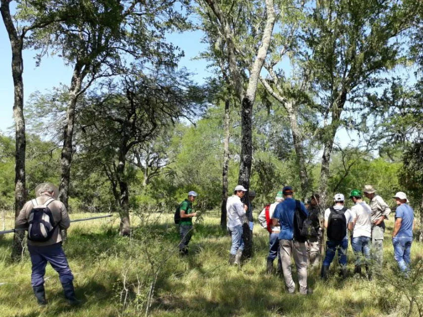 Por Sistema de Alerta Temprana se evitó el desmonte de bosque nativo en Santa Fe