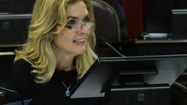 Piden aplicar el Protocolo de Violencia de Género a José Alperovich en el Senado