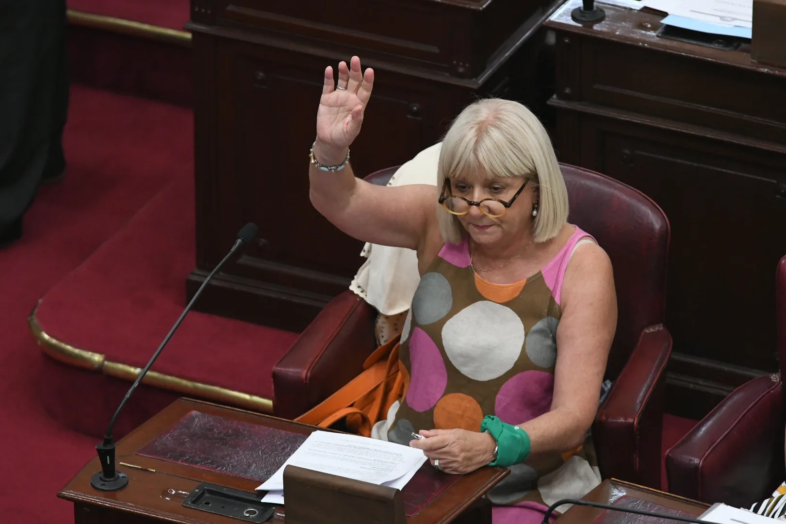 La abogada Matilde Bruera asumió como diputada en reemplazo de Silvina Frana